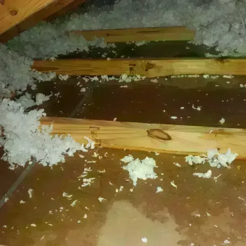 Attic Water Damage in Los Alamos, NM