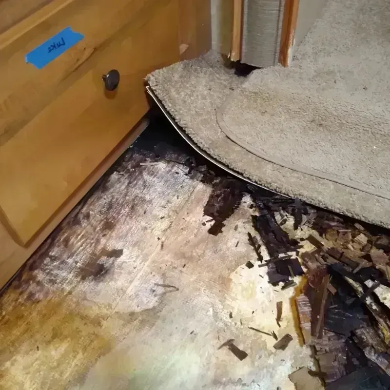 Best Wood Floor Water Damage Service in Los Alamos, NM